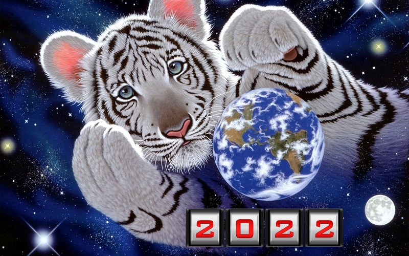 Год Водного Тигра. Прогноз по году рождения. 1 часть