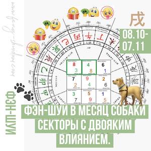 Фэн-шуй в месяц Собаки (8 октября – 7 ноября)  Секторы с двояким влиянием.