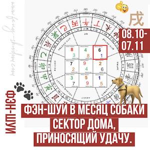 Фэн-шуй в месяц Собаки (8 октября – 7 ноября)  Сектор дома, приносящий удачу.